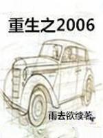 ֮2006